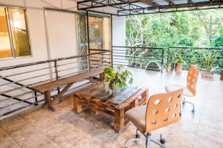 KAHILOM Nest Self-Service Home in Rainforest Nest with Kitchen - Pet Friendly, Monkeys, Bats! - - 3