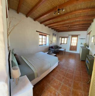 Villa Kostopoulos Studio Zeus - Kampos Paros - 5