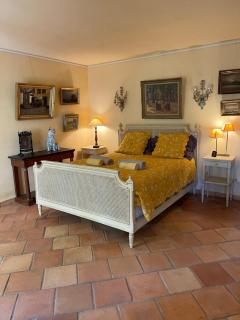 Magnifique Mas proche de Lourmarin - Puyvert - 9