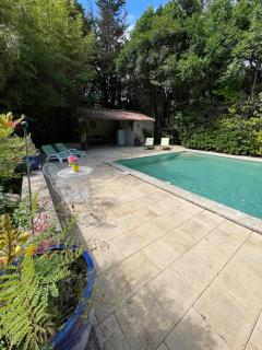 Magnifique Mas proche de Lourmarin - Puyvert - 3