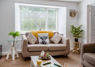 Elmsleigh Nest - 5