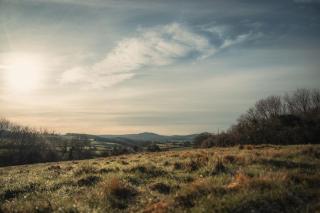 Altair - Holywell - 3