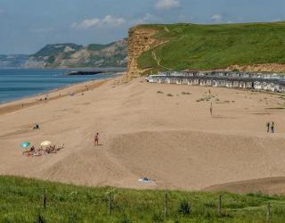Ardmachree - Burton Bradstock - 4