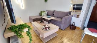 Acropolis View & Spa Penthouse apartment - Athen - 3