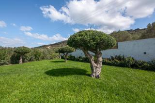 Casa Elea - Kissamos - 4