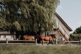 Idillyc summerhouse on horse farm Enggaarden - Dronningmølle - 4