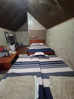 Seroja Hills Glamping Wonosobo - Kejajar - 6