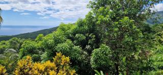 Le temps d'un repos - 1