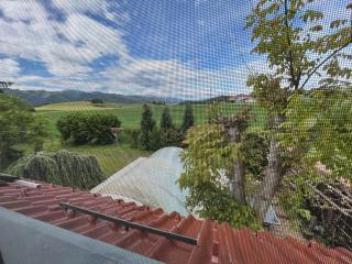 Apartment im Grünen mit Pool - - 3