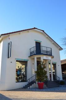 Le Loft de Genas - l'Atelier et la Villa - Genas - 4