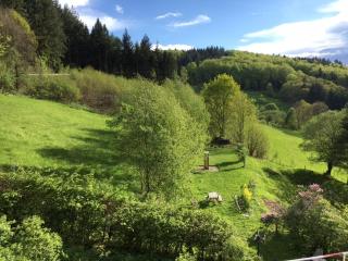 Ferienwohnung Spiritbalance - Sasbachwalden - 2