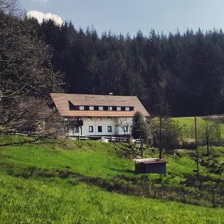 Ferienwohnung Spiritbalance - Sasbachwalden - 9