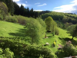 Ferienwohnung Spiritbalance - Sasbachwalden - 8