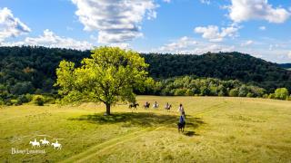 Green Village House - 9