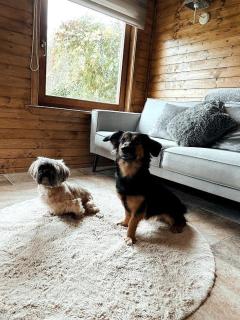 Green Village House - 5