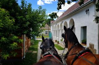 Green Village House - 2