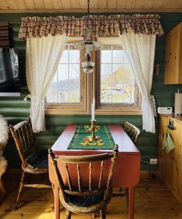 Cottage Yard - cozy Cabin - Geilo - 2