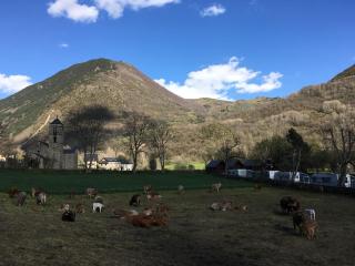 Camping Boneta - Barruera - 2