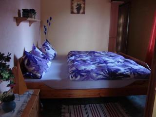 Appartement In Lübbenau Spreewald Mit Garten Und Grill - Lübbenau - 1