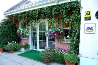 The Grove Lodge Guesthouse - Killorglin - 5