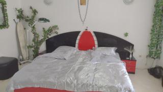 Casa Criss - Modest- Only Pet Friendly - 6