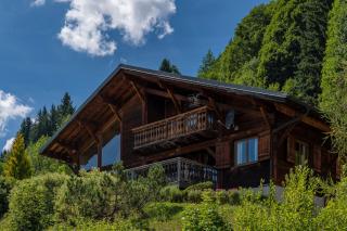 Chalet Mélèze - Les Gets - 9