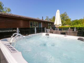 Dovedale Lodge - Windermere - 9