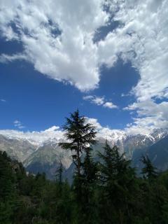 Shanti Homestay - Kalpa - 6