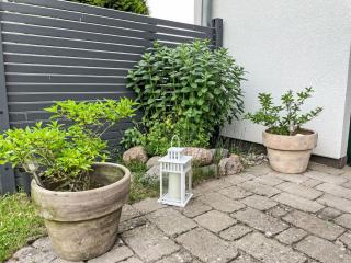 Apartment Südwind by Interhome - Gahlkow - 5