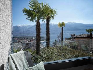 Apartment Double Room Classic-1 by Interhome - Ascona - 8