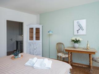 Apartment Double Room Classic-1 by Interhome - Ascona - 3