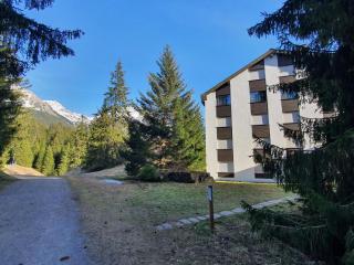 Apartment Belmont Seegarten by Interhome - Lenzerheide - 9