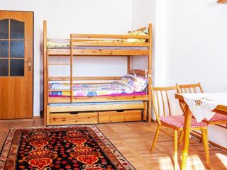 Apartment ProFamily simple by Interhome - Jáchymov - 8