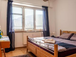 Apartment ProFamily simple by Interhome - Jáchymov - 0