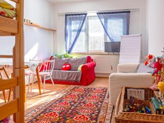 Apartment ProFamily simple by Interhome - Jáchymov - 9