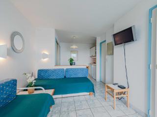 Apartment Caraibes-2 by Interhome - 3