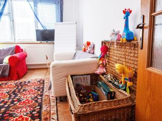 Apartment ProFamily simple by Interhome - Jáchymov - 2