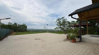 Palko Residence - Ocna Mureş - 8