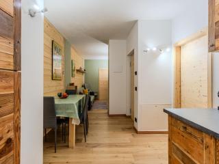 Apartment Il Rifugio della Virtù by Interhome - Pinzolo - 3