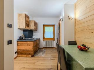 Apartment Il Rifugio della Virtù by Interhome - Pinzolo - 2