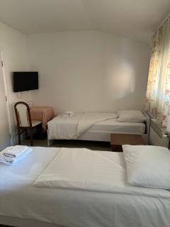 Turopoljski Dom Guest House - Odra - 1