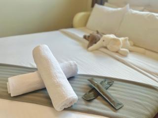Iskandar Residence -- Legoland & Kids & WiFi # 3BR2B # 6pax - - 6