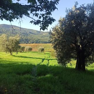 La casetta di campagna Alloggio nel Chianti - Pomino - 1