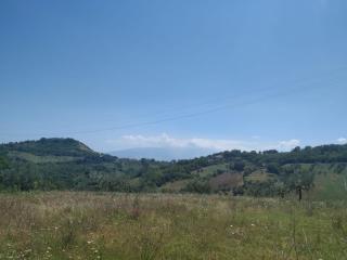 Zia Gabry - Vicoli - 4
