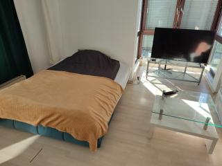 Charming Apartment with a Tranquil Balcony Garden View - Wiesbaden - 8