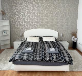 Cozy apartment near hockey & football arena - 0