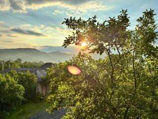 Pensiunea Ardelean - 4