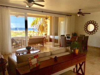 Spectacular 2 BR Oceanview Penthouse - San José del Cabo - 8