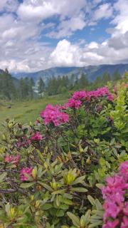 Selbstversorgerhütte N 15 Kleinwalsertal - 3