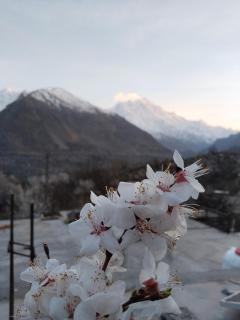 Hunza Ray's guest house - Dargai - 5